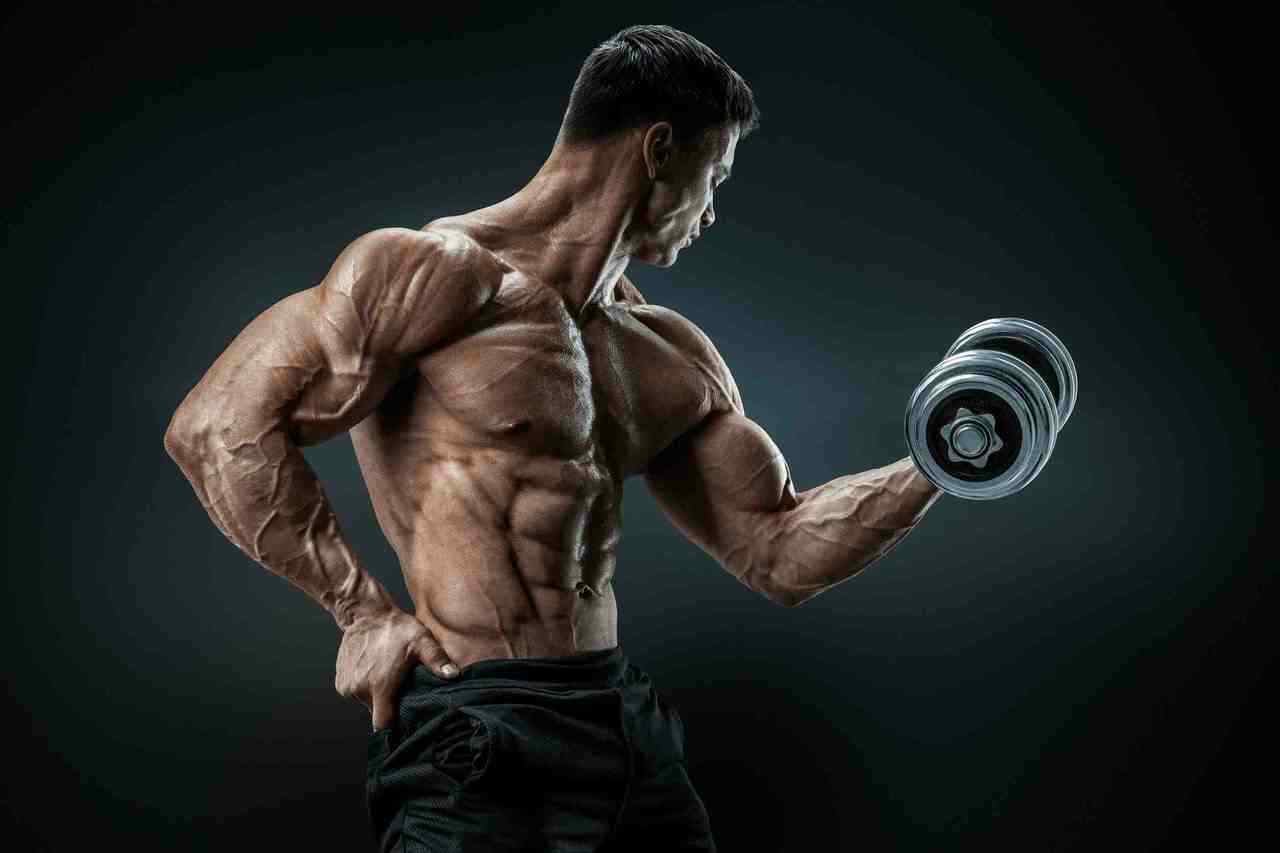 Testosterone Activator Potency Tonic Sexual Vitality for Men and Women NEW