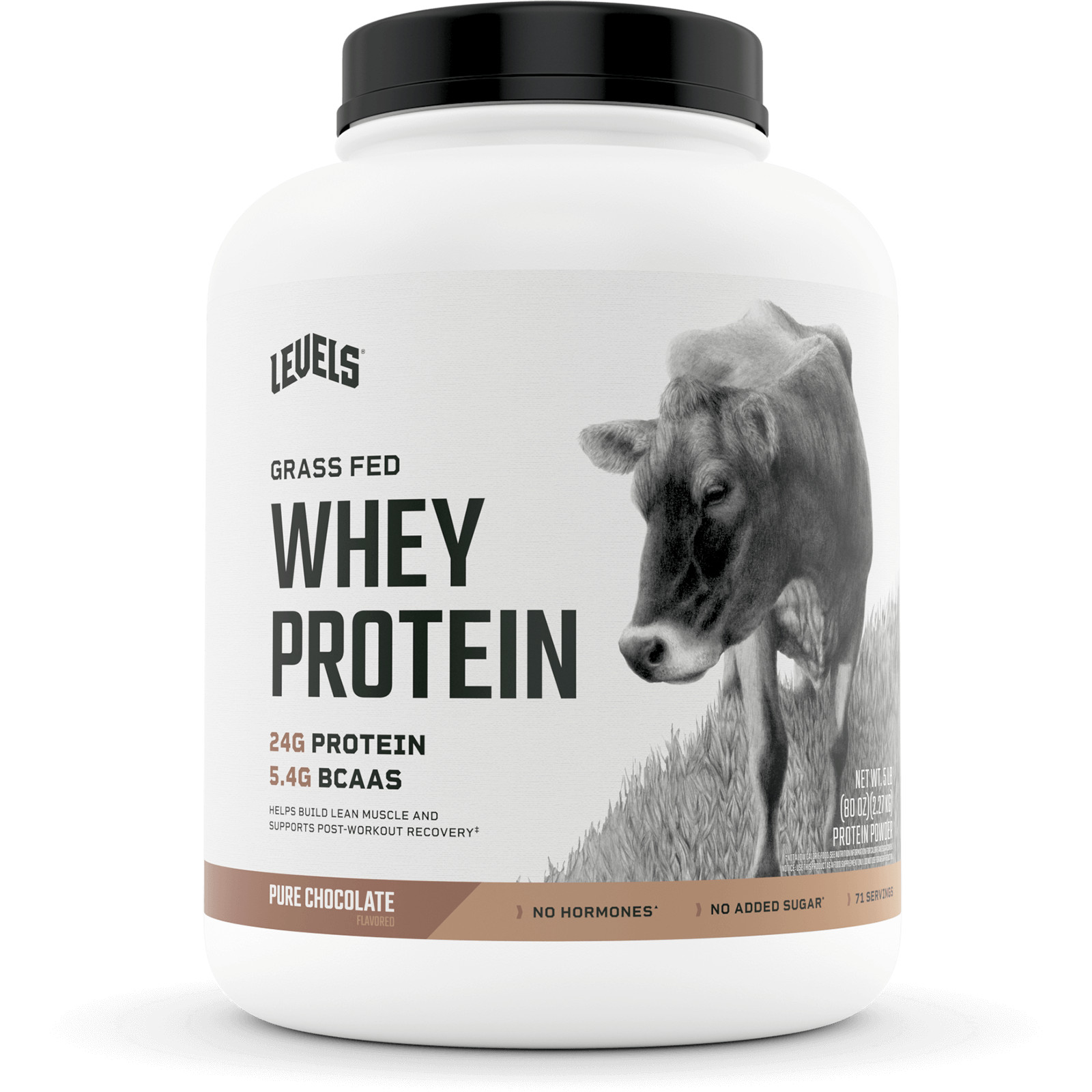 Levels Grass Fed 100% Whey Protein – 9 Flavors! – CHOOSE FLAVOR – 5 LB