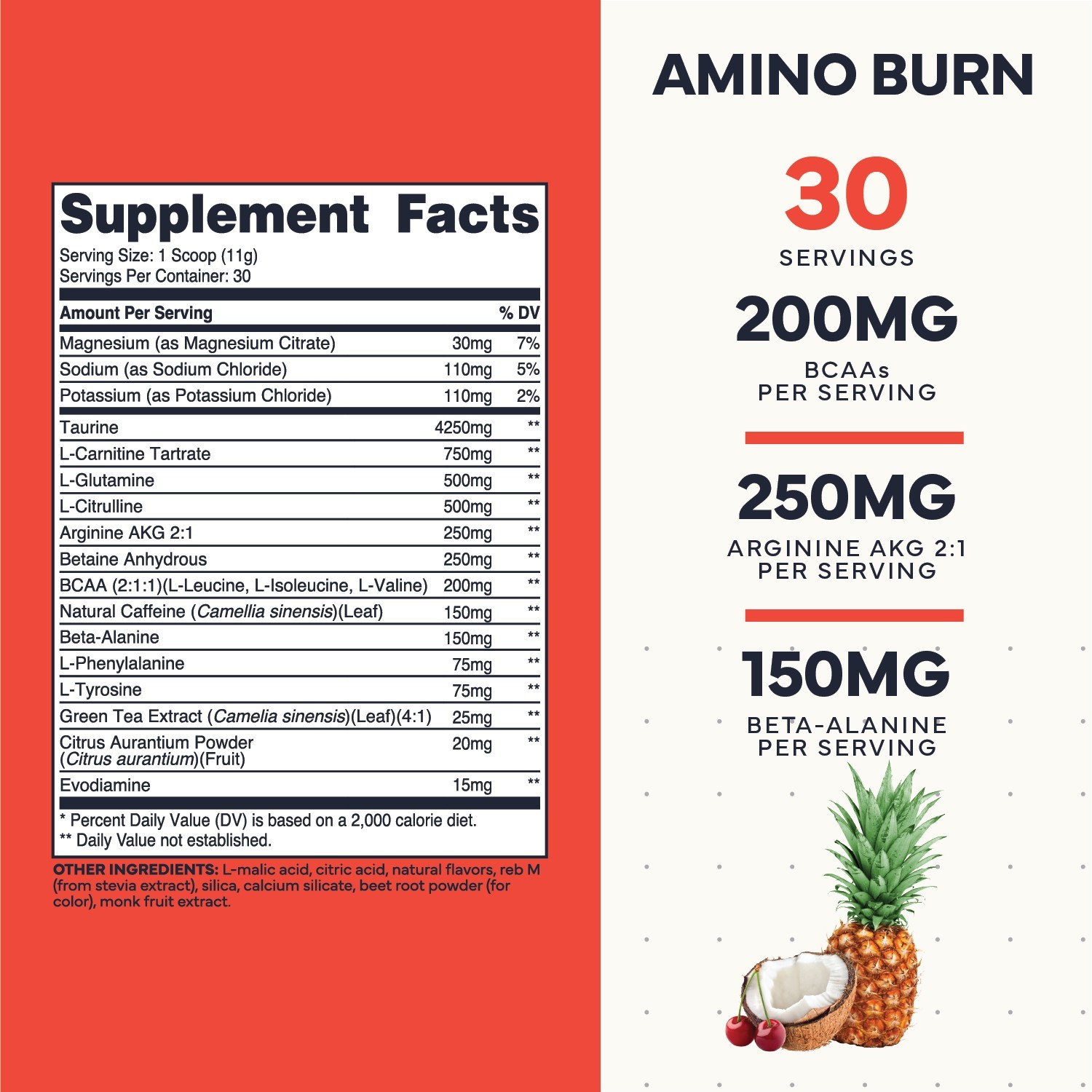 Type Zero Amino Burn Vegan BCAA + Pre Workout (Fruit Punch) 30 Servings