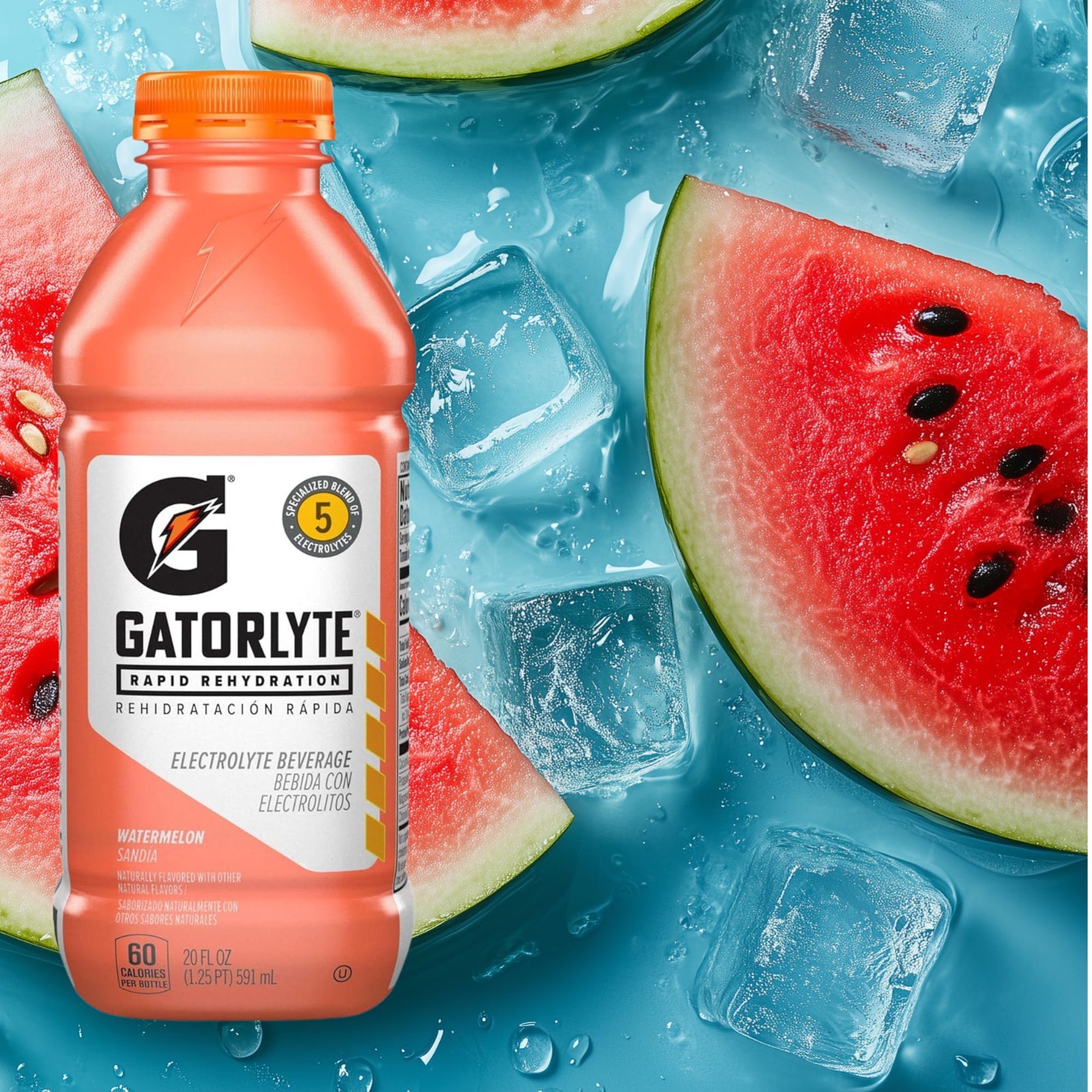 Gatorlyte Rapid Rehydration 6‑Flavor Sampler & Variety Pack – Electrolyte Drink
