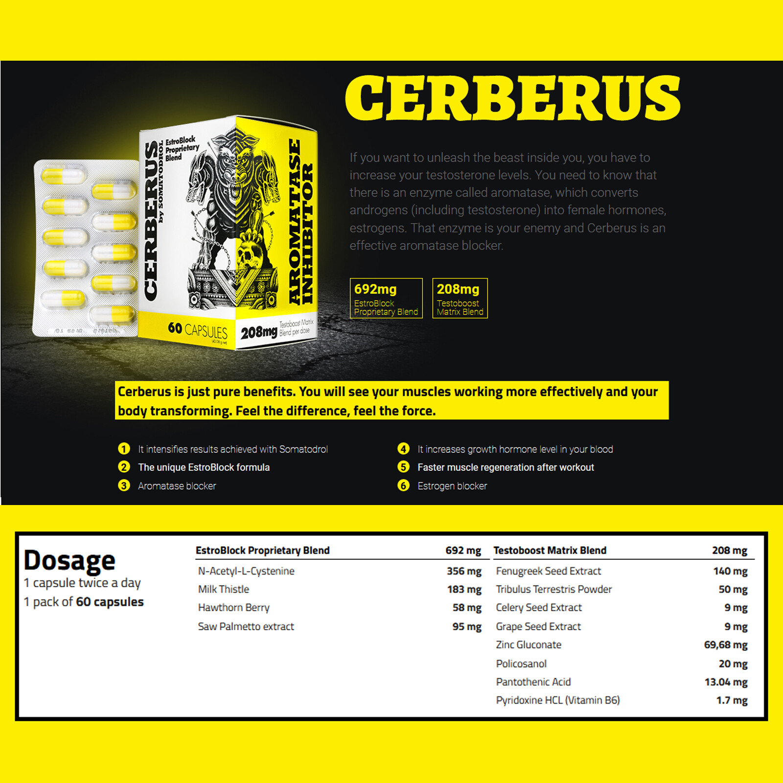 CERBERUS PILLS- Proffesional Testosterone Booster – Muscle Mass Growth Stimulant