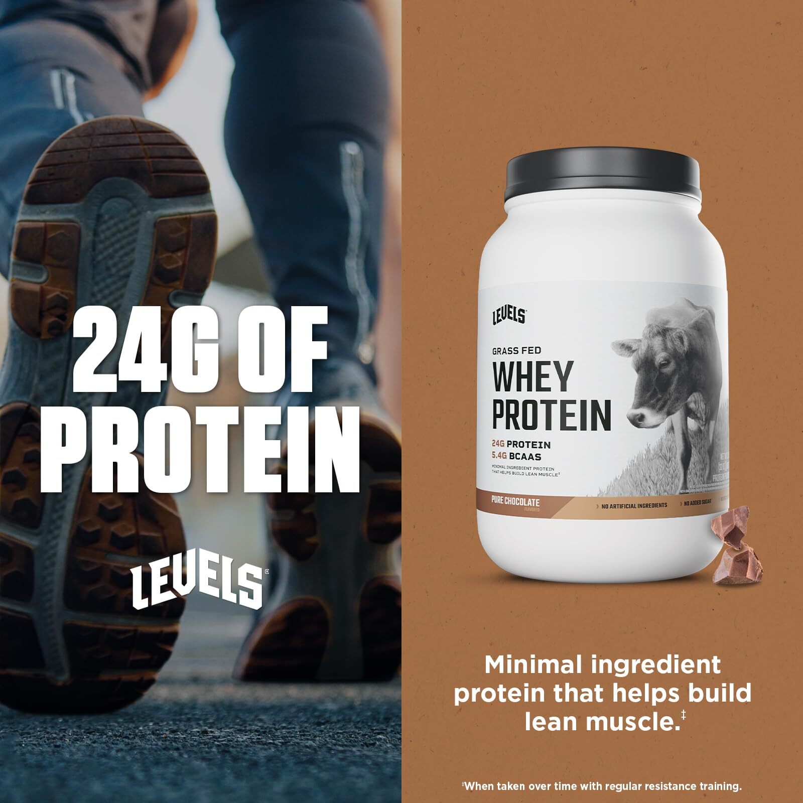 WHEY PROTEIN POWDER Grass Fed Pure Chocolate 2lb LEVELS NUTRITION
