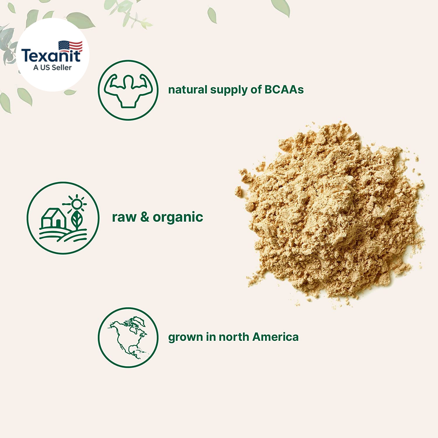 North America Grown, Organic Pea Protein Powder, 1KG (2.2 Pounds) | Plant-Based