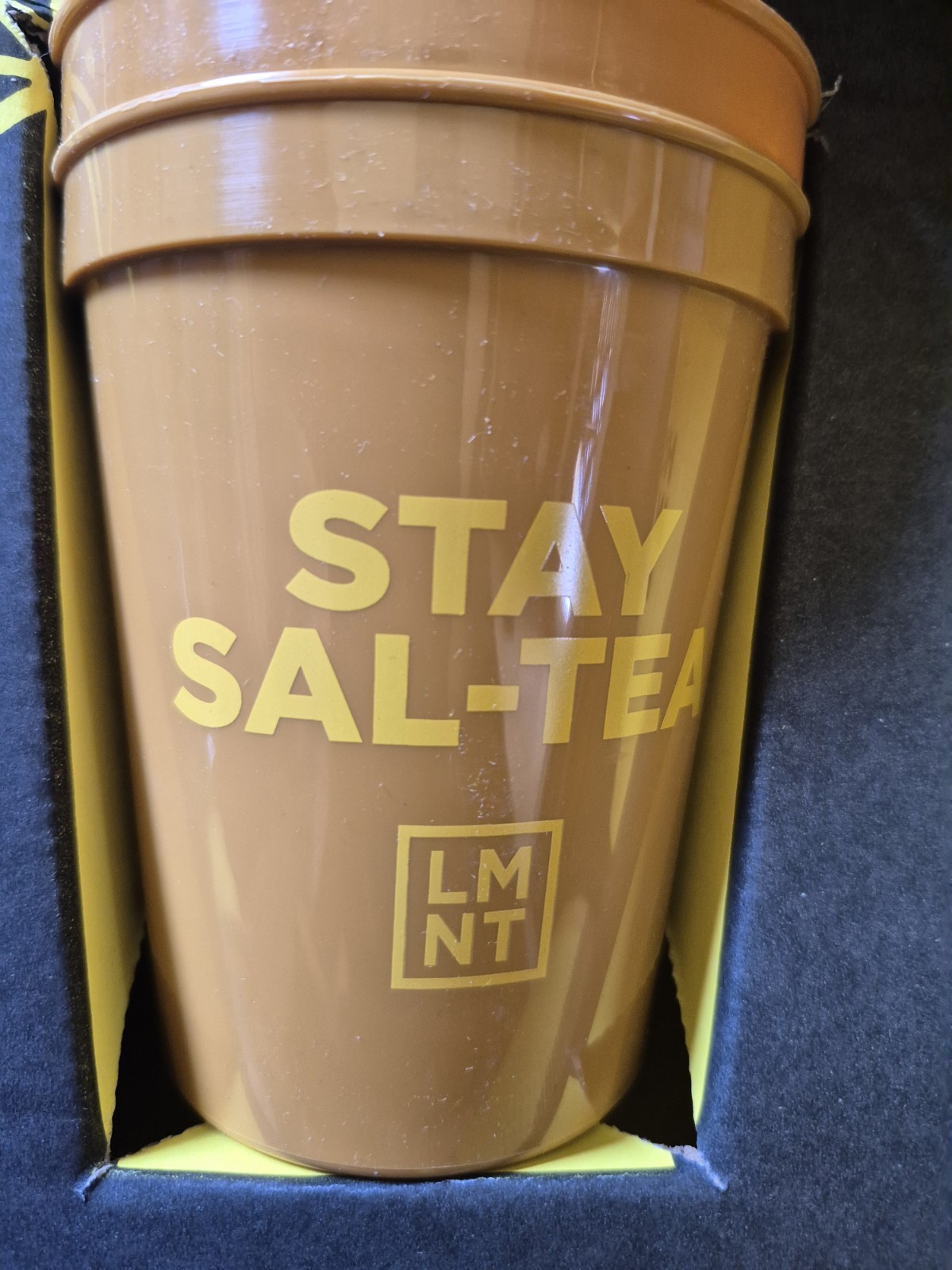 NIB – LMNT Lemonade + Iced Tea Kit: 2 Qt. Pitcher , Picnic Blanket, (4) Cups, &
