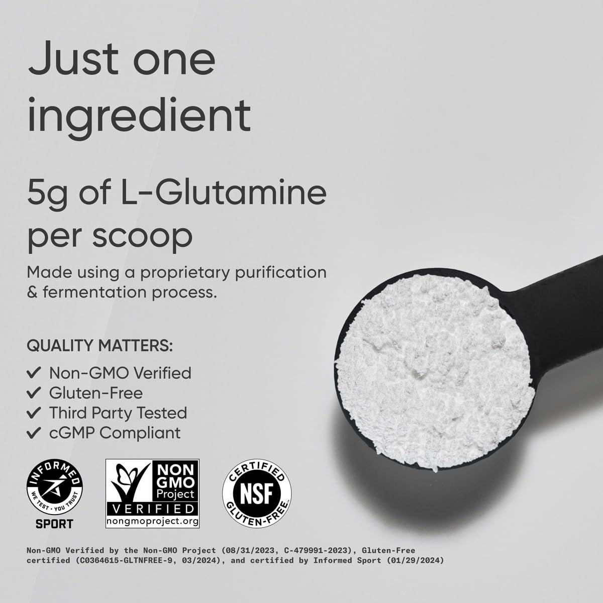 L-Glutamine Powder 5g Unflavored 17.64oz | Fermented Amino Acid for Recovery & G