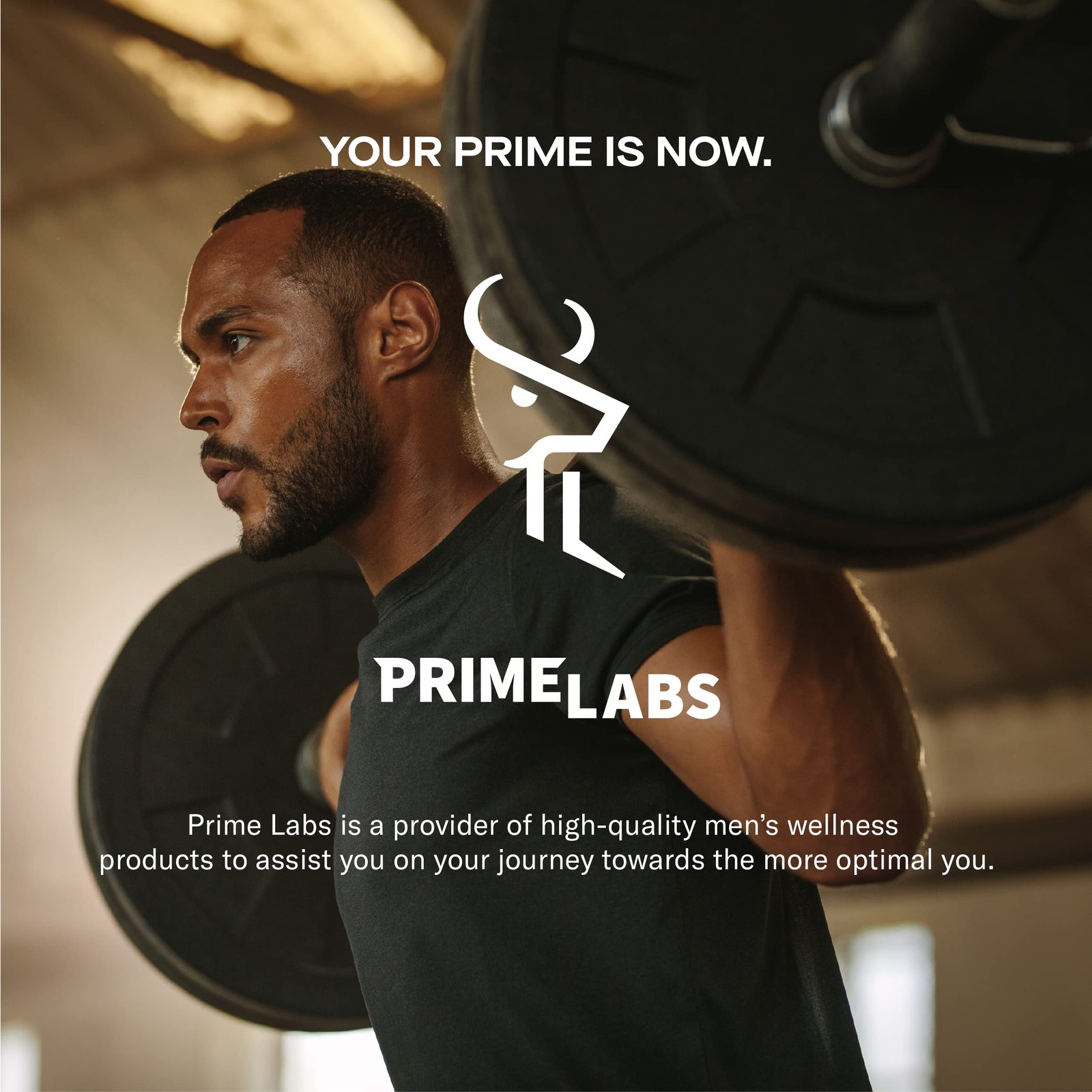 Prime Labs – Men’s Testosterone Booster – 60 Count (Pack of 1), Test