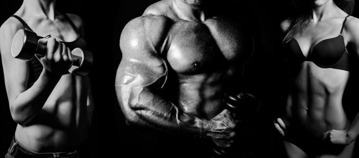 Sport Food – MAXAMINO PLUS 1200 – Aids In Building Muscles 3B