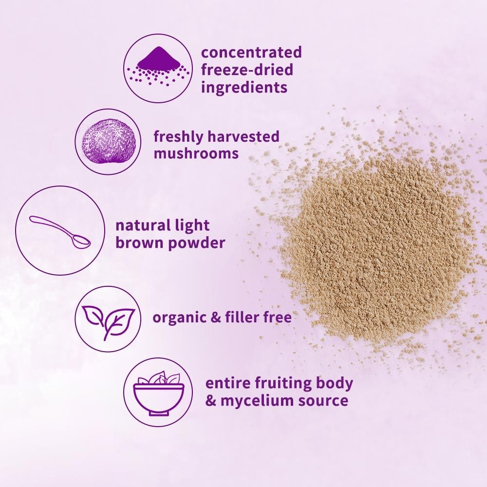 Berry Flavor Organic Lions Mane Mushroom Powder 1 lb Memory Focus Nerve Health