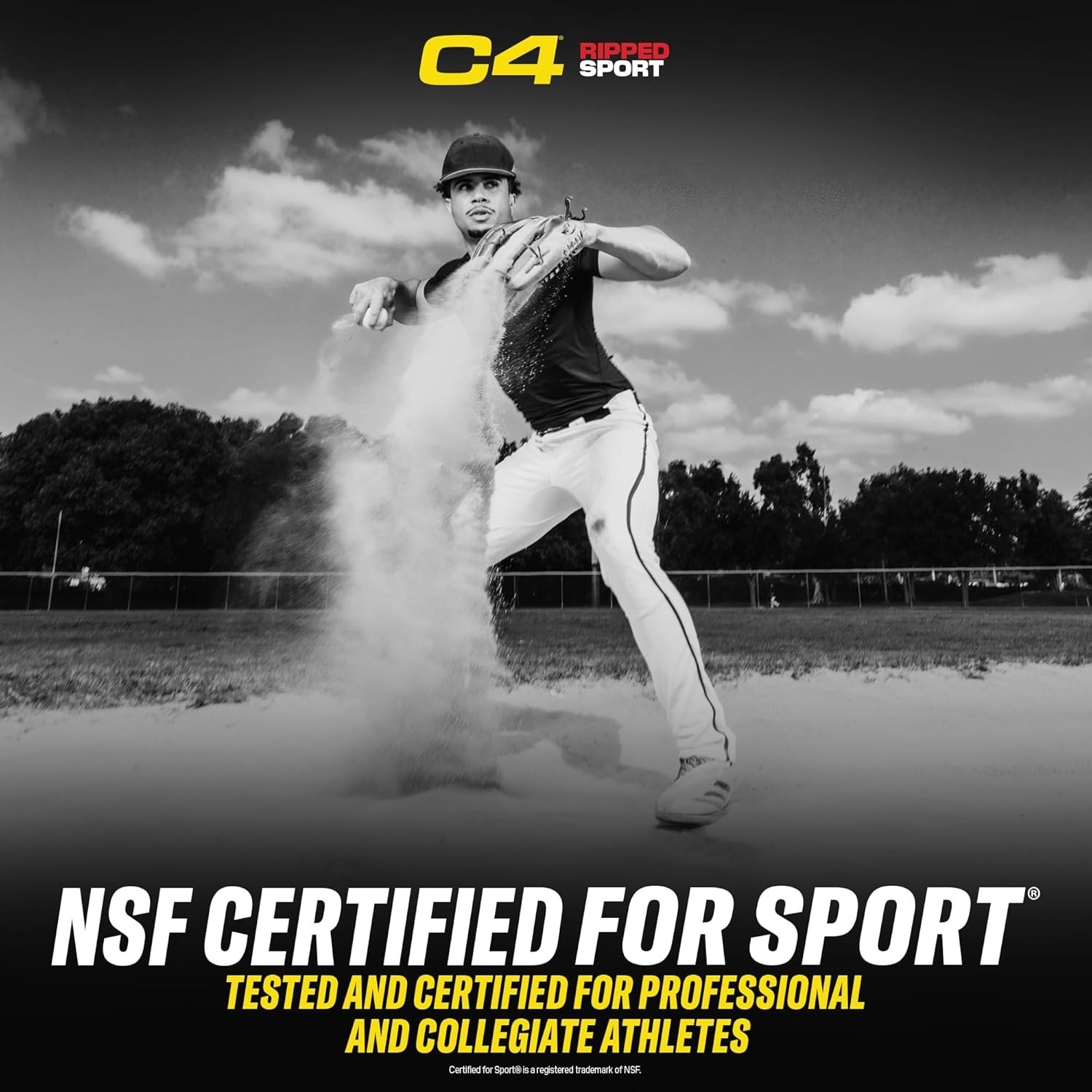 Ripped Sport Pre Workout Powder – NSF Certified, Sugar-Free Energy, 30 Servings