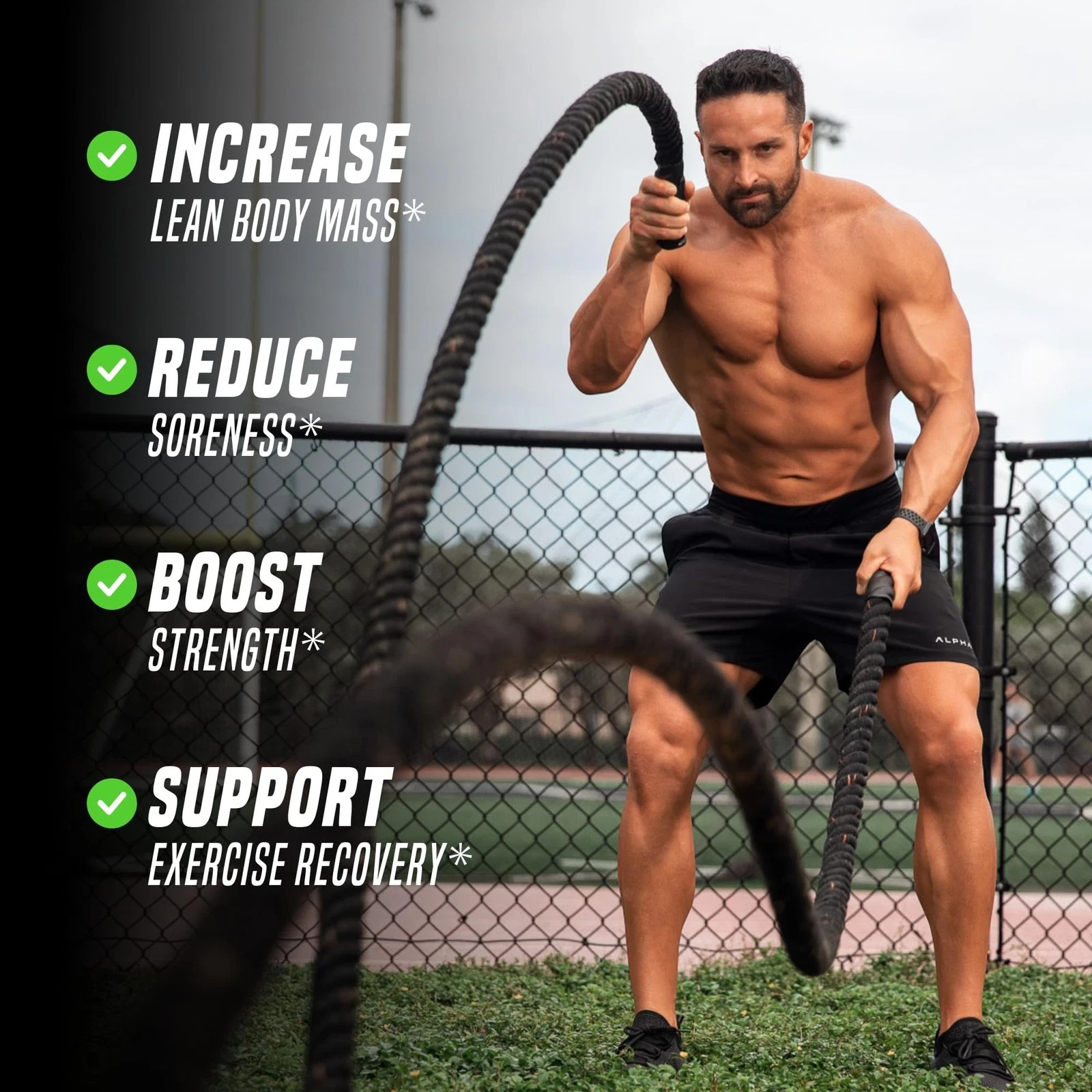 Outwork Nutrition Post Workout Recovery Powder Creatine Monohydrate, KSM66 A…