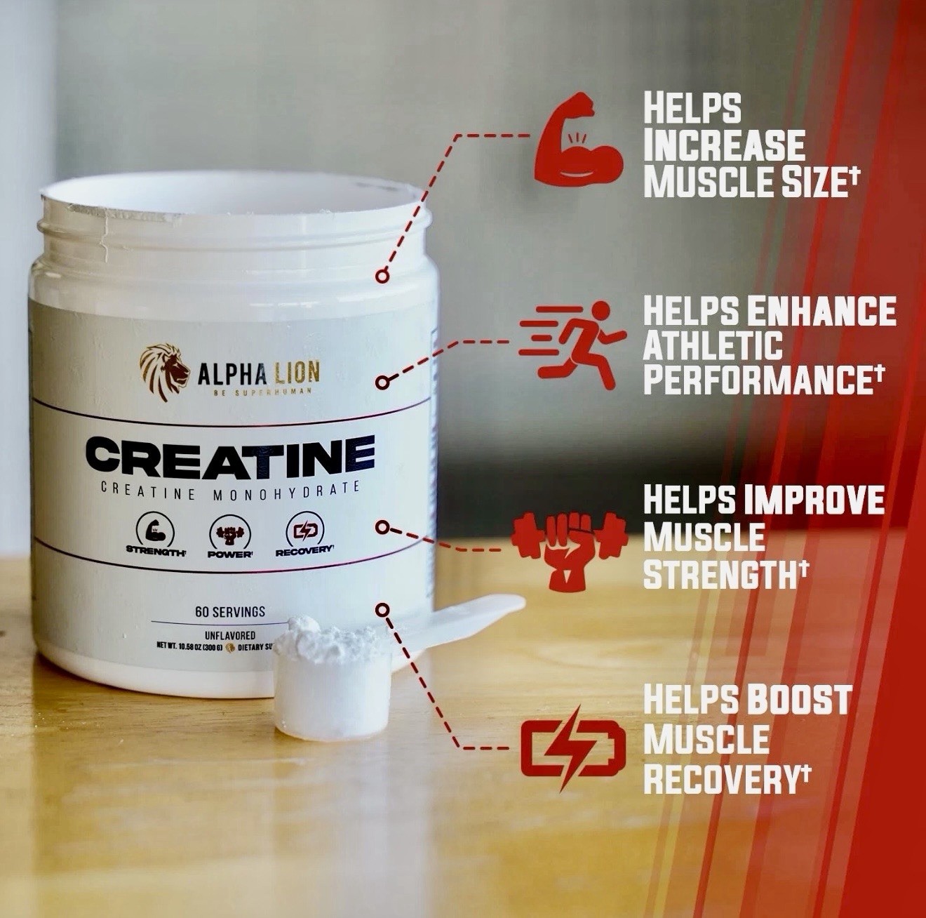 ALPHA LION Creatine Monohydrate Powder, 5000mg Per 12.48 Ounce (Pack of 1)