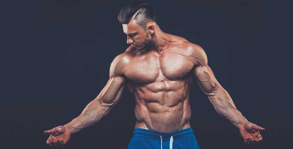 Glutamine Muscle Powder – L-GLUTAMINE 500mg – Fuel For Cells – 300 Tablets
