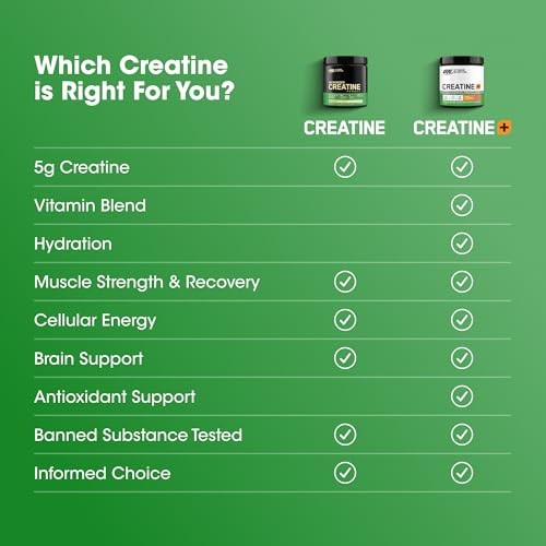 Optimum Nutrition Micronized Creatine Monohydrate Powder, 300g, Unflavored