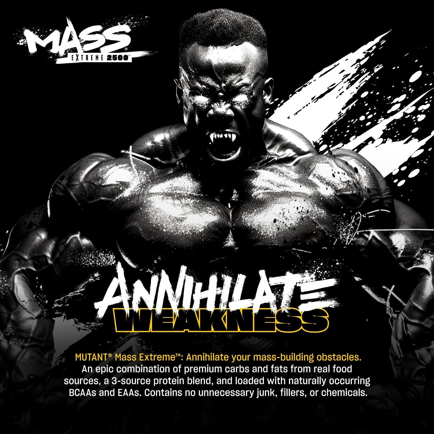Muscle Mass Gainer Whey Protein Powder 6 lb Triple Chocolate Build Size