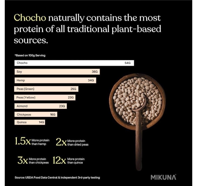 Mikuna Vegan Protein Powder Chocho, Complete Protein,5Clean Ingredients, 31.9 Oz