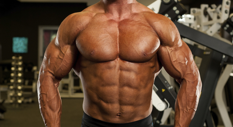 Fat Fighter – MUSCLE MAKER PLUS – Vitamin B-6 1B