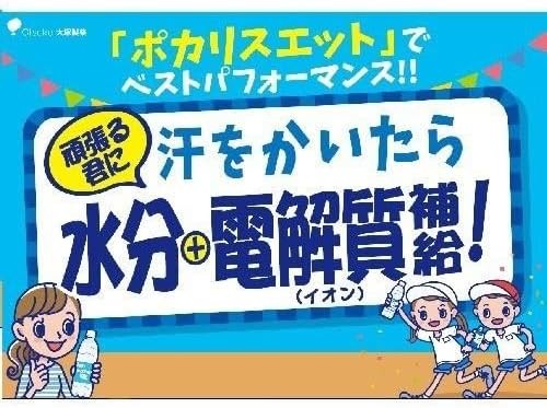Otsuka Pocari Sweat Powder 10L x3 Packs Sports Drink Mix Japan