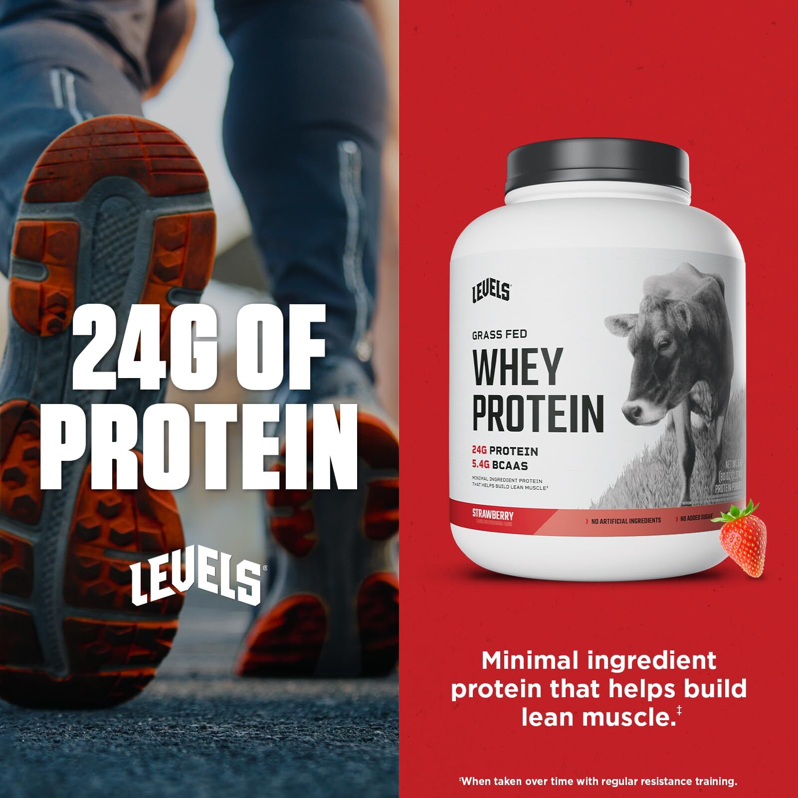 Levels Grass Fed Whey Protein Powder No Artificials 24G of Protein Strawberry…