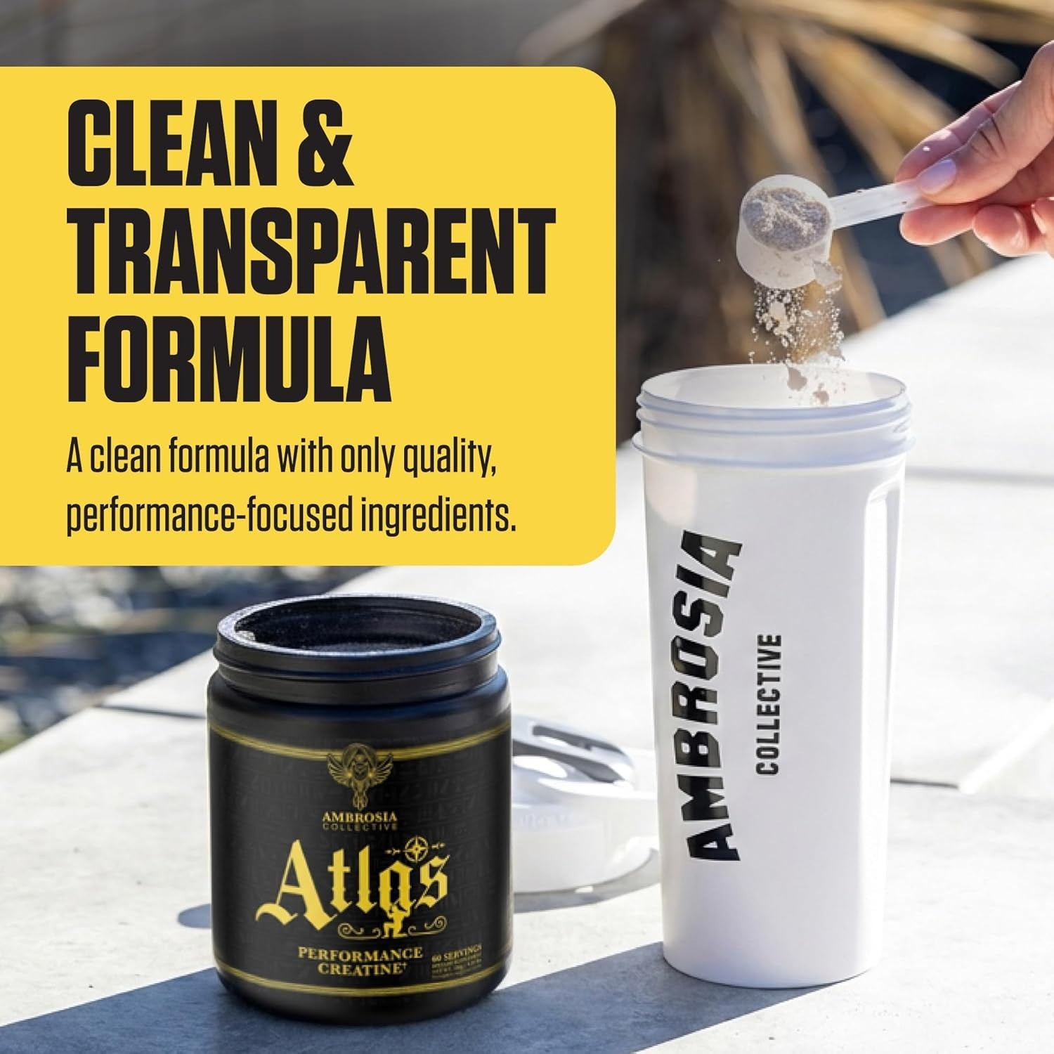 Ambrosia Atlas Performance Creatine Creapure® + Acetic 0.39 Ounce (Pack of 1)