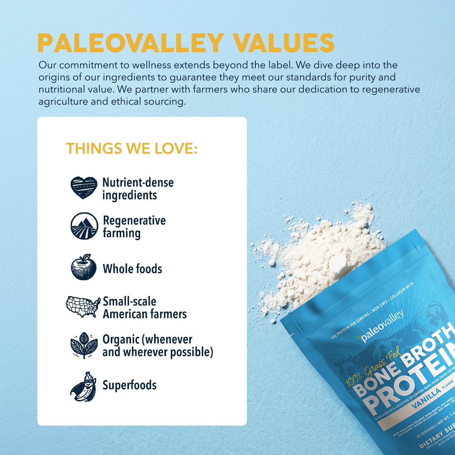 Paleovalley 100% Grass Fed Beef Bone Broth Protein 1.17 Pound (Pack of 1)