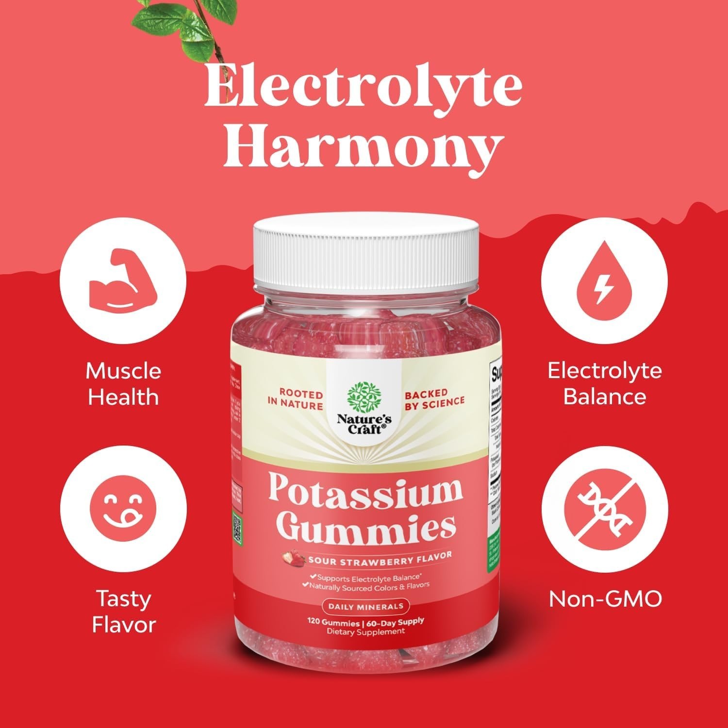 High Potency Potassium Gummies for Adults ~ Powerful Potassium Supplement Gummy