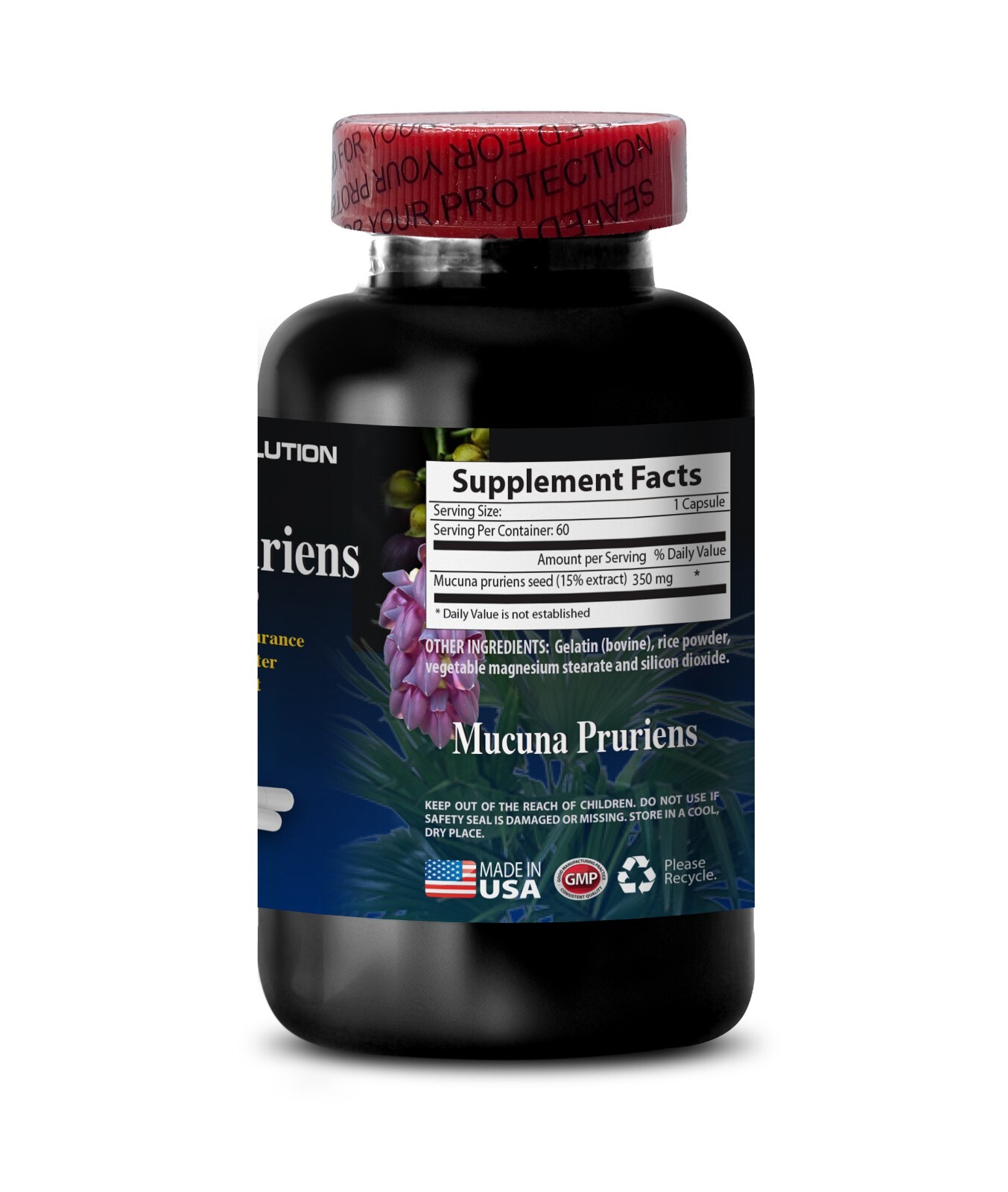 Brain Supplement MUCUNA PRURIENS VELVET BEANS EXTRACT- MOOD SUPPORT (1 Bottle)
