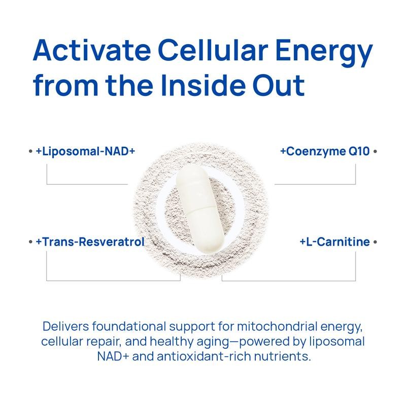 Selerb NAD+ Supplement for MenC With Liposomal-NAD+,CoQ10,L-Carnitine,L-Arginine