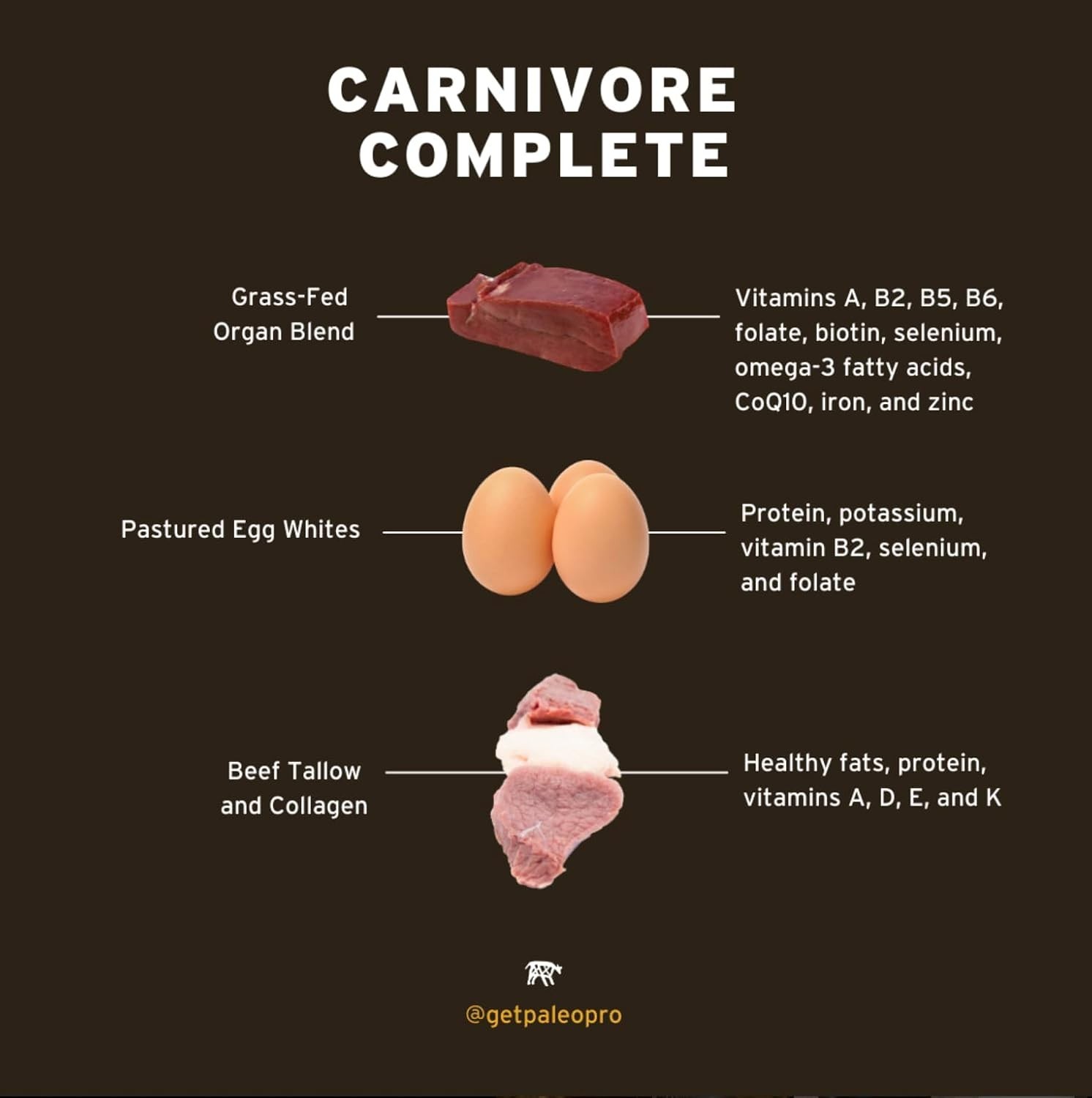 Keto & Paleo Protein with Ancient Cacao – Sugar-Free, Gluten-Free, 16oz