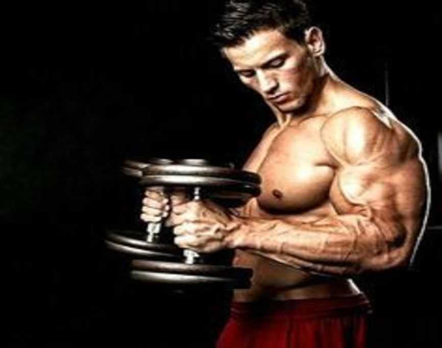 Nitric Oxide 2400mg – Extreme Strength, Endurance, Recovery, Lean Muscle (1 Bot)