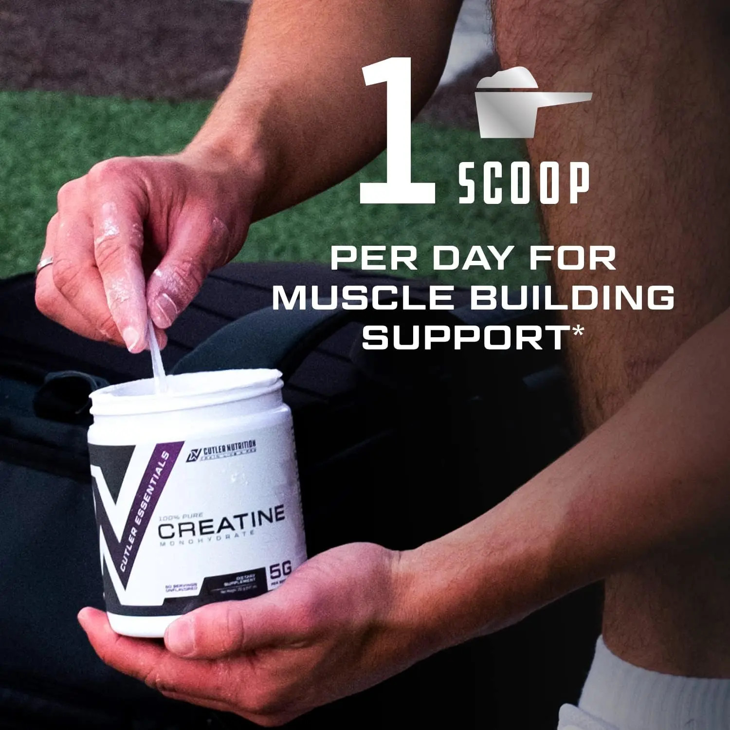 Muscle and Recovery Support Creatine Monohydrate with Carnitine for Brain Health