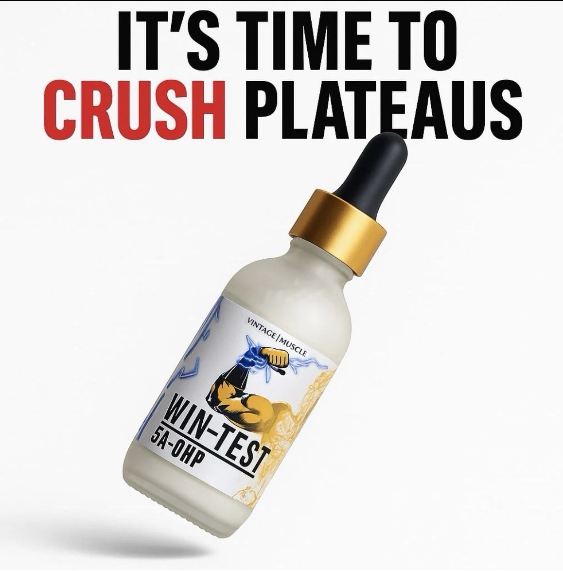 Wintest Striated Dry Gainer 2 Step Precursor To Winstrol By Vintage Muscle 💪