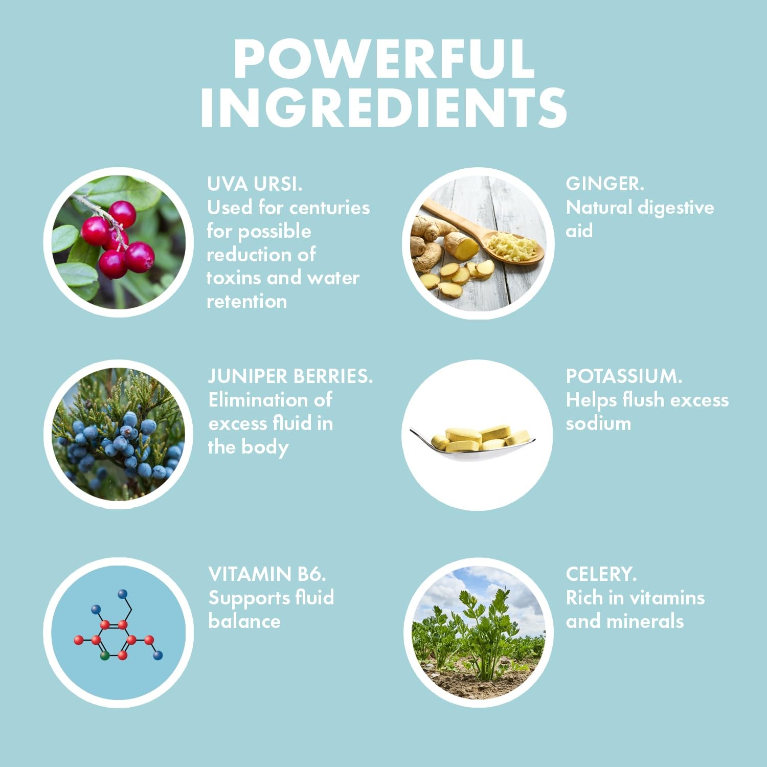 Yes You Can! Yes You Can Natural Water Lipo Pills – Diuretic Cleanse