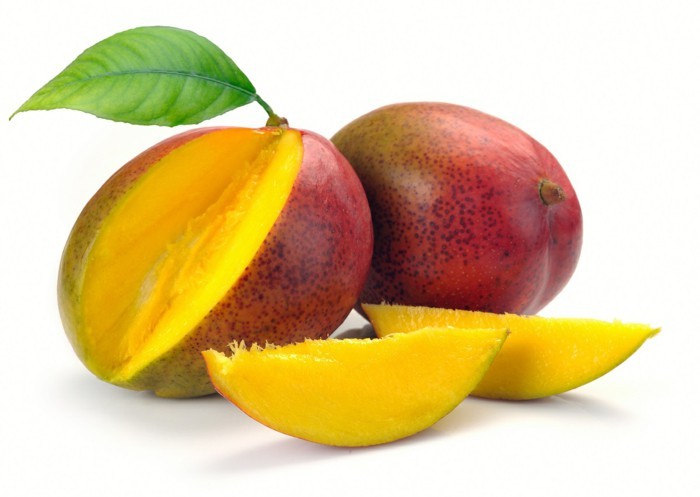 African mango powder- AFRICAN MANGO EXTRACT 1000 FAT BURNER – Cardiovascular 1B