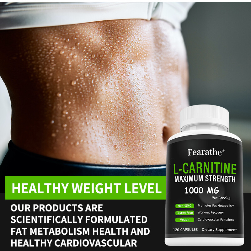 L-Carnitine – Balances Cardiovascular Health and Fat Metabolism