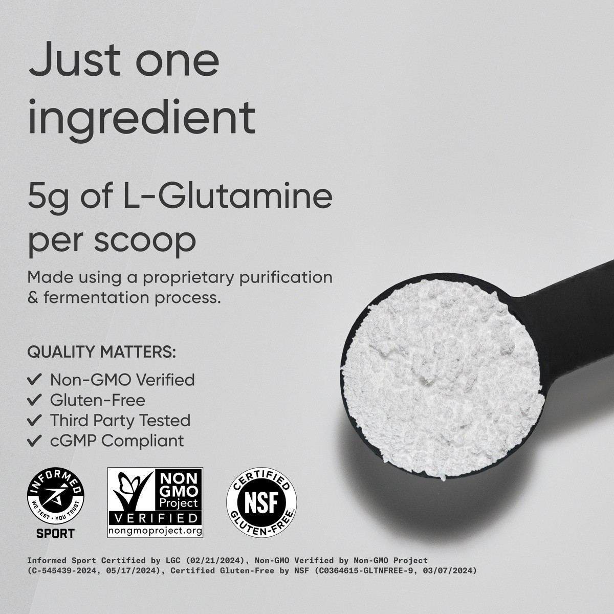 L-Glutamine (60 servings) – 300g