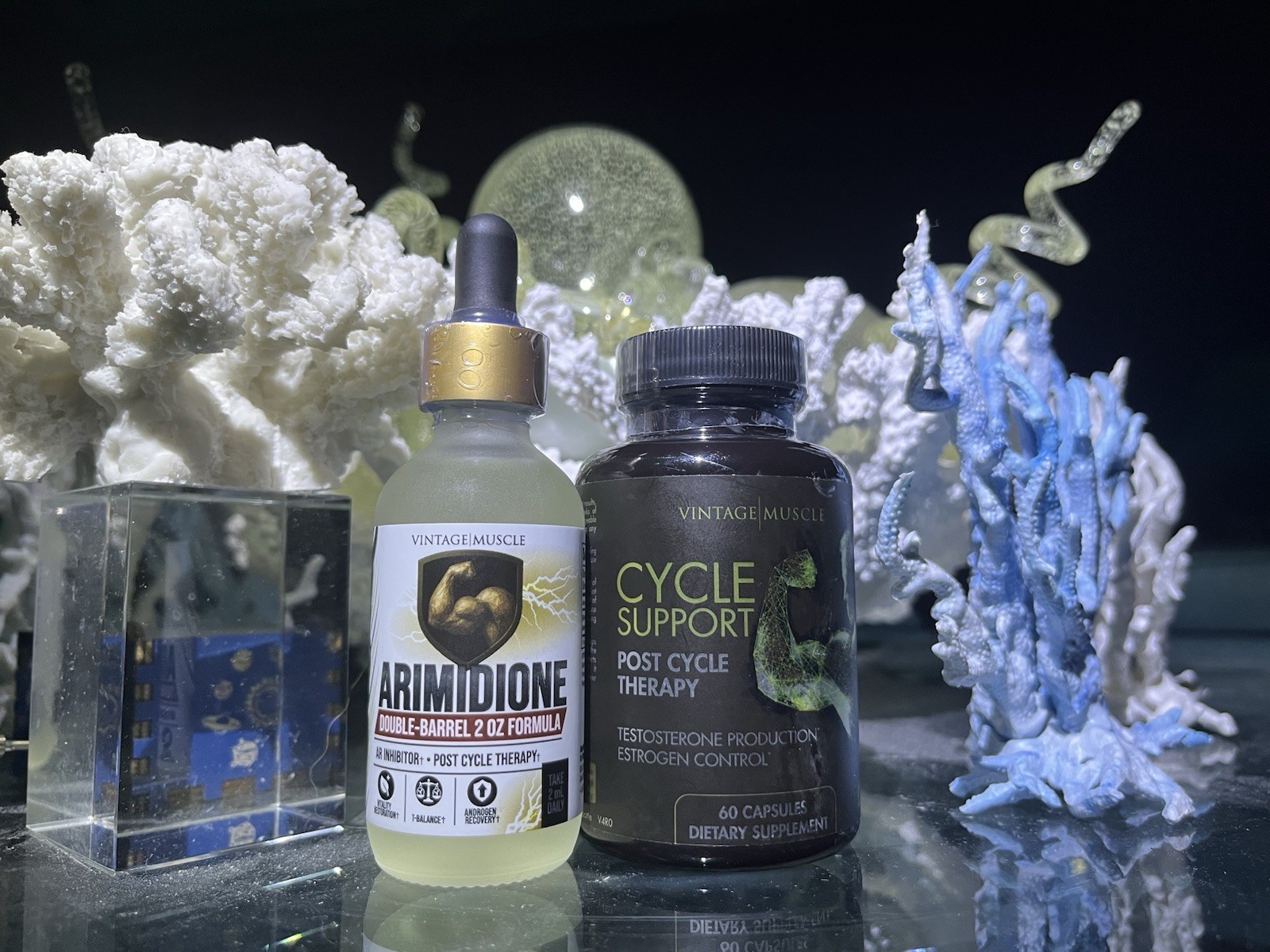 Post Cycle Therapy Stack Test Optimizer Arimotase Inhibitor By Vintage Muscle