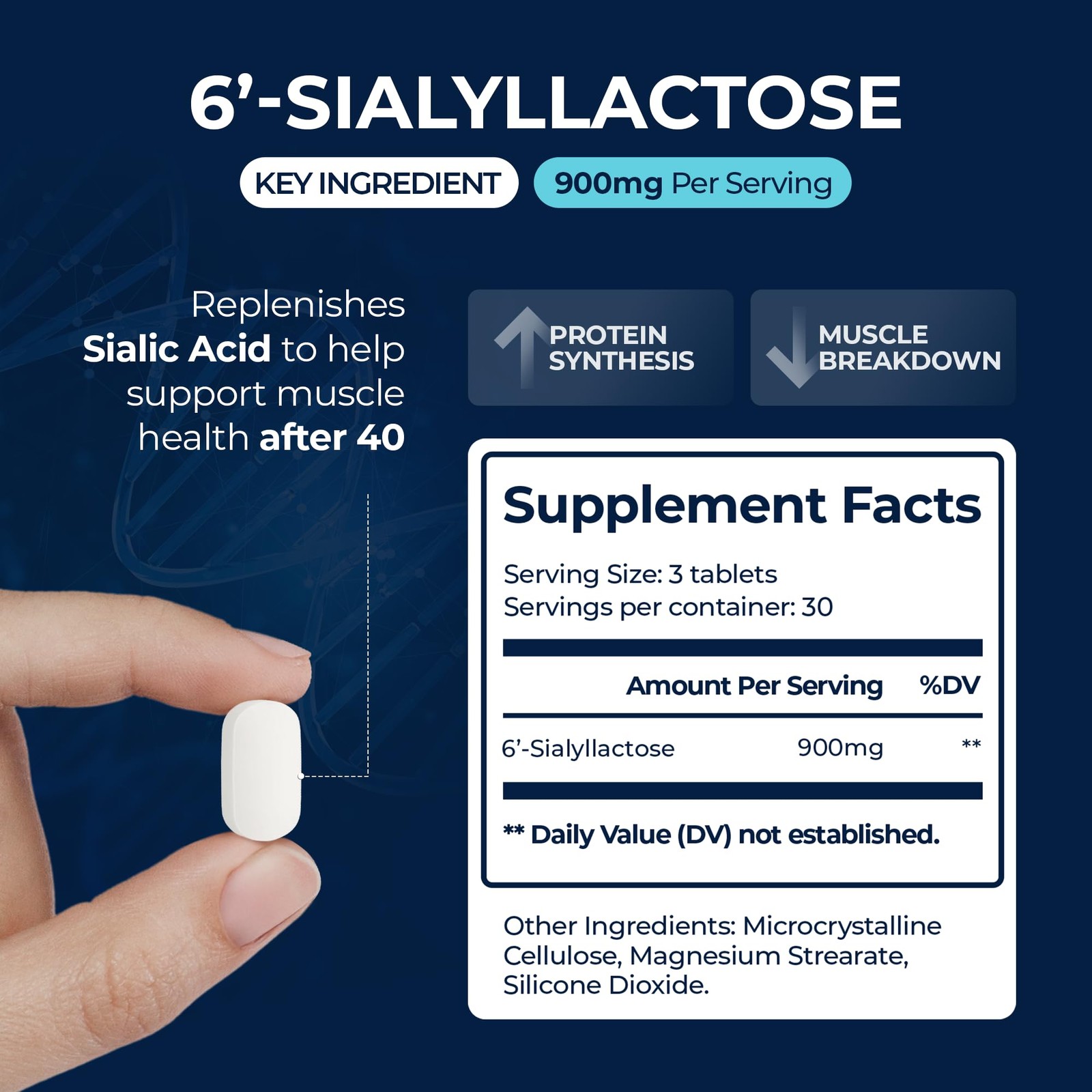 Muscle Health Supplement 6′-SL – Boost Mass, Strength, Recovery – Made in USA