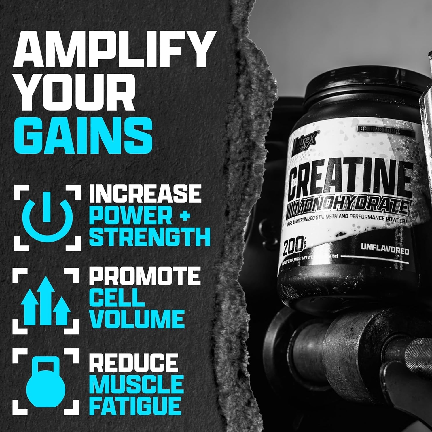 Nutrex Research Micronized Creatine 200 Servings (Pack of 1), White