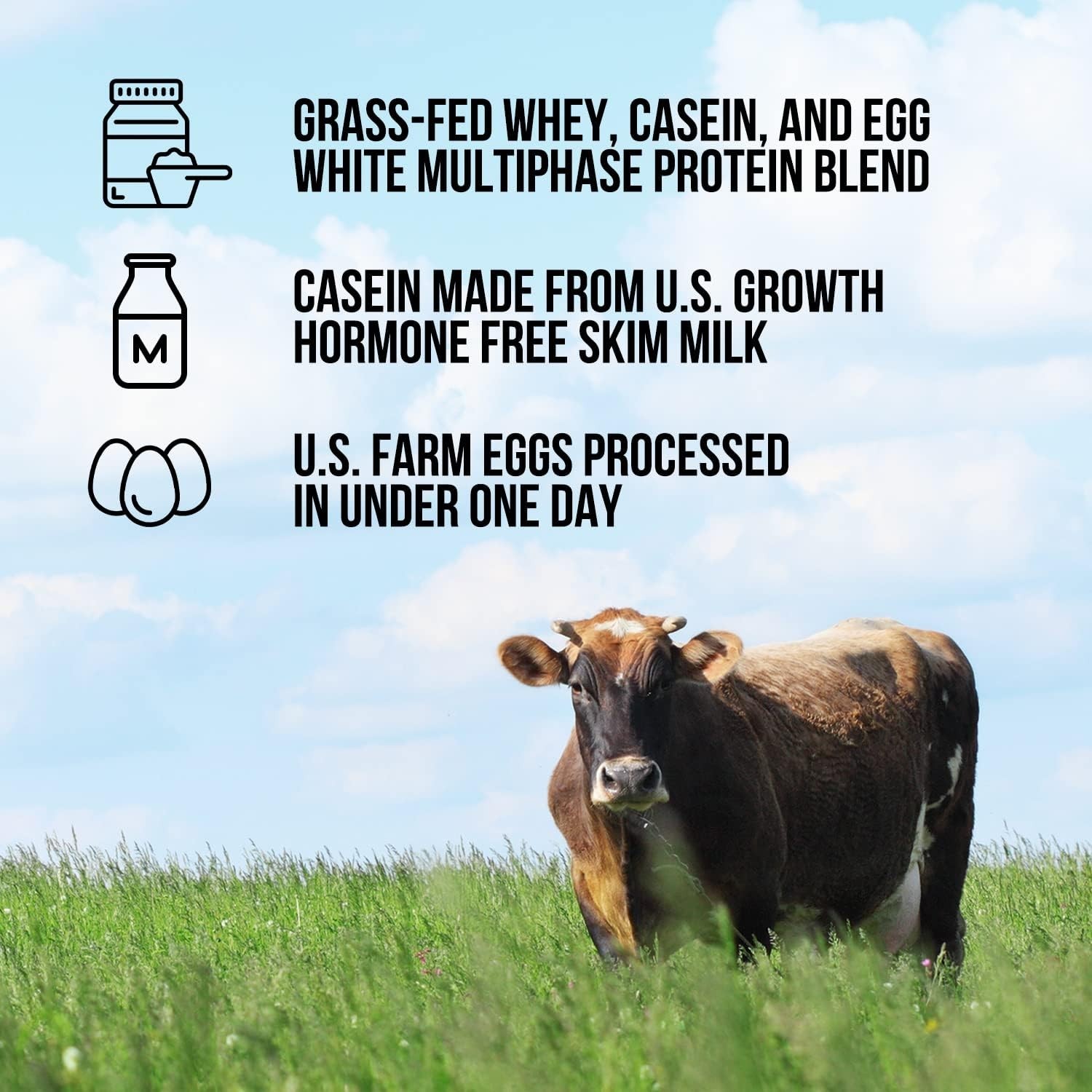 Gluten-Free Protein Powder: Egg, Whey & Casein Blend for Post-Workout Nutrition