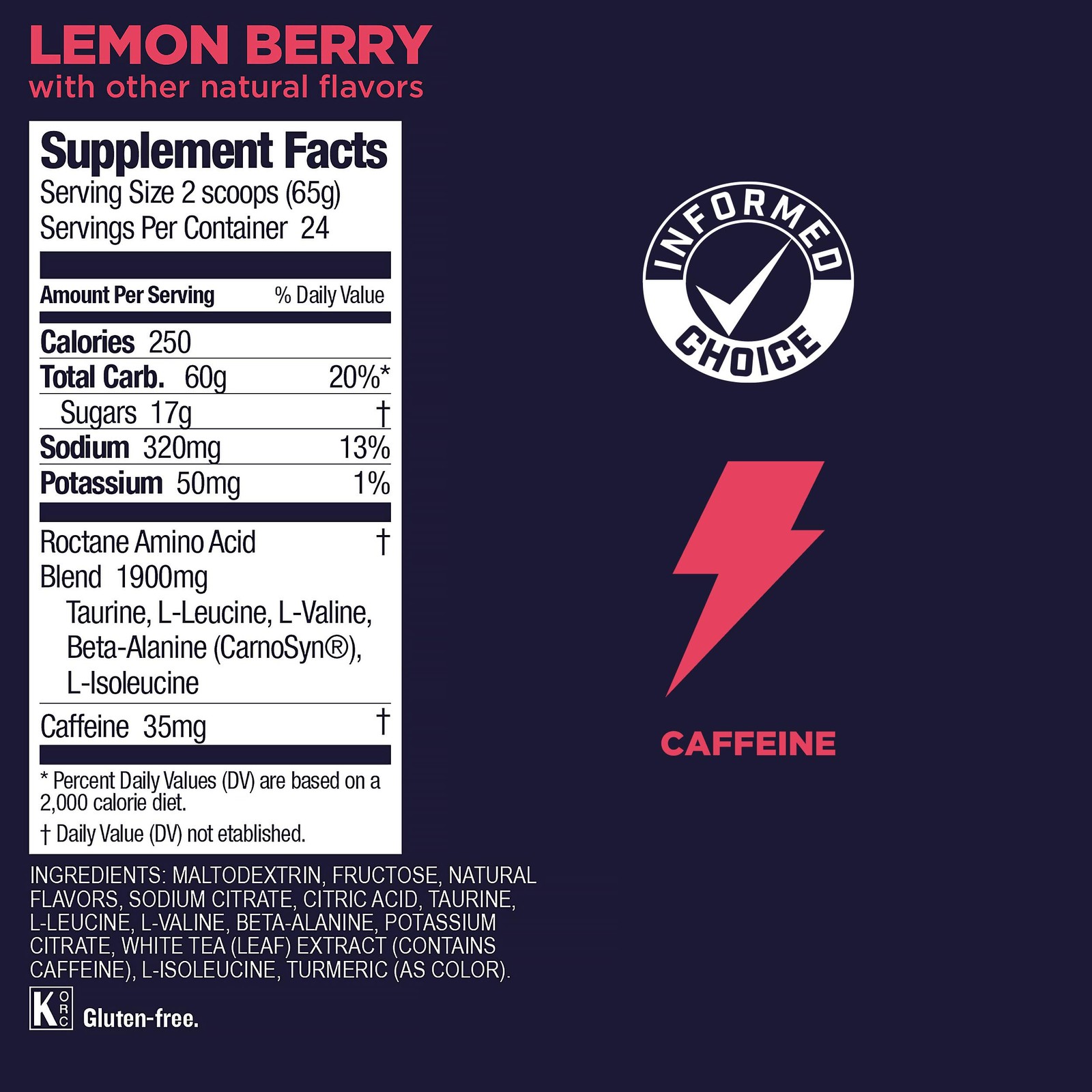 GU Energy Roctane Ultra Endurance Energy Drink Mix, 3.44-Pound Jar, Lemon Berry