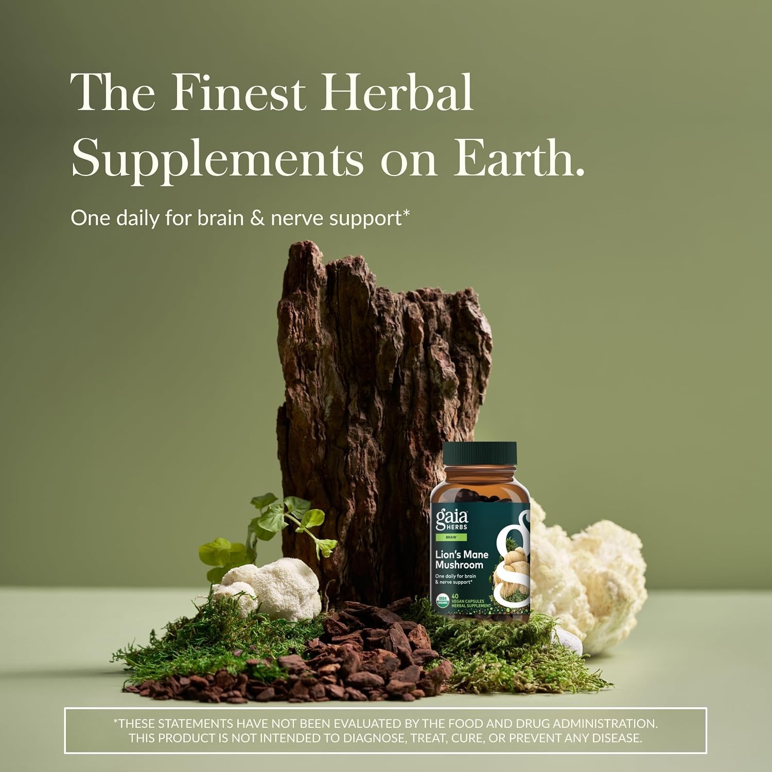 Gaia Herbs Lion’s Mane Mushroom – Brain Health Support* – 40 Vegan Capsules (40