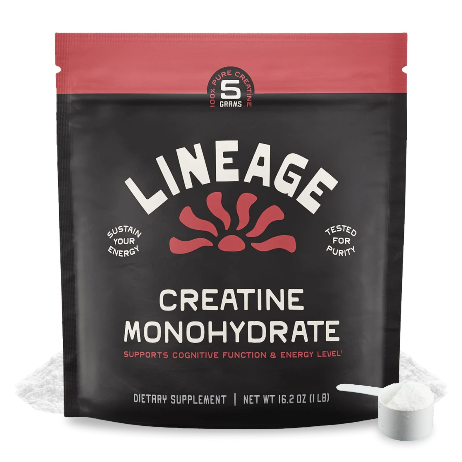 Micronized Creatine Monohydrate Powder with Sea Salt – 90 Servings for Training