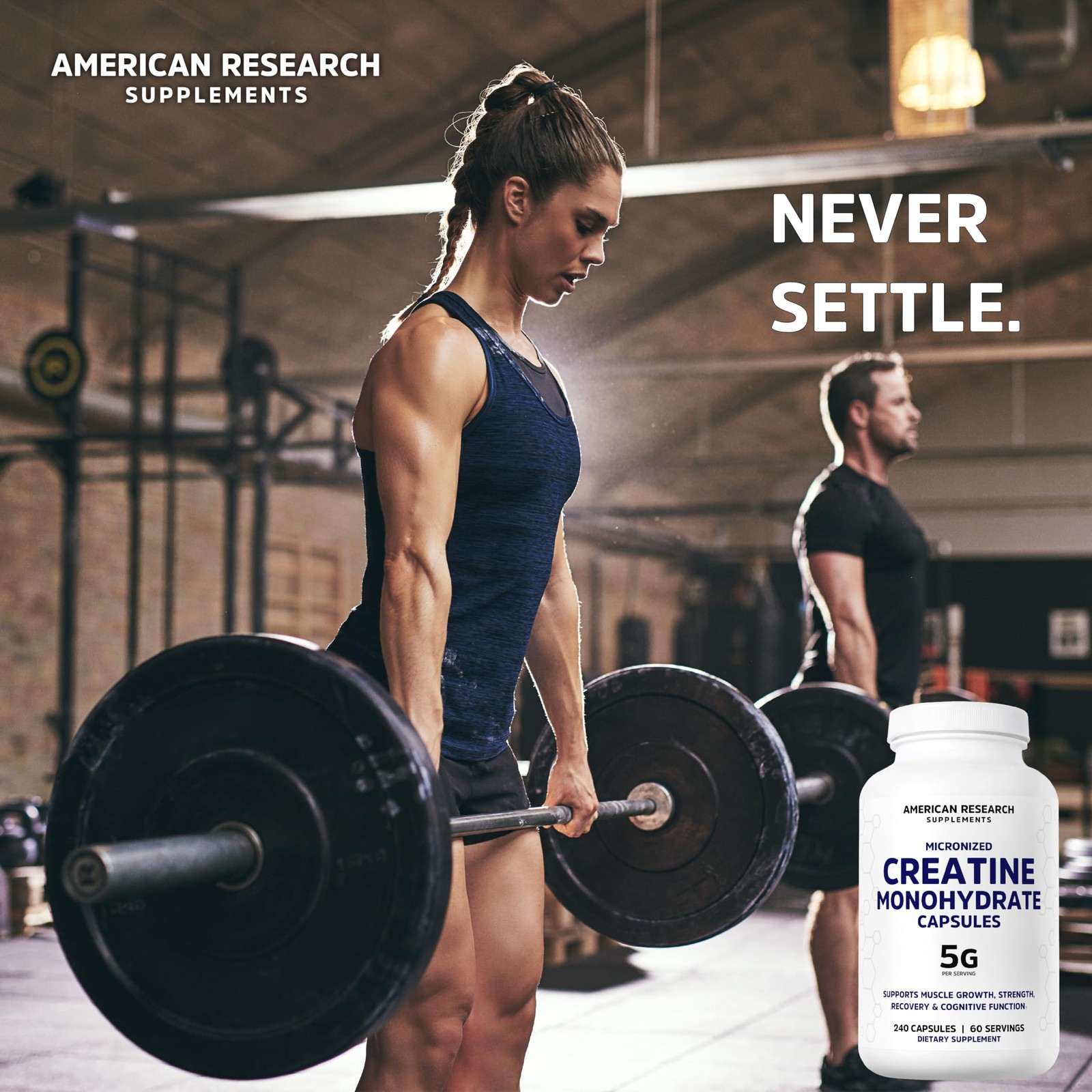 American Research Supplements Creatine Monohydrate 240 Count (Pack of 1)