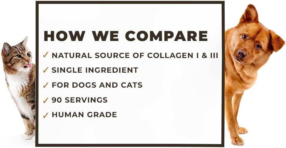 Left Coast Beef Bone Broth Powder for Dogs and Cats | Grass-fed Bone Broth, 8oz
