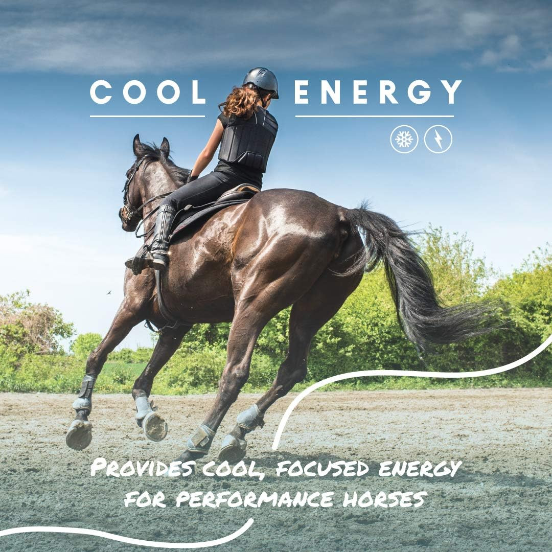 Cool Calories 100 – High-Calorie Dry Fat Supplement for Horses – Supports Health