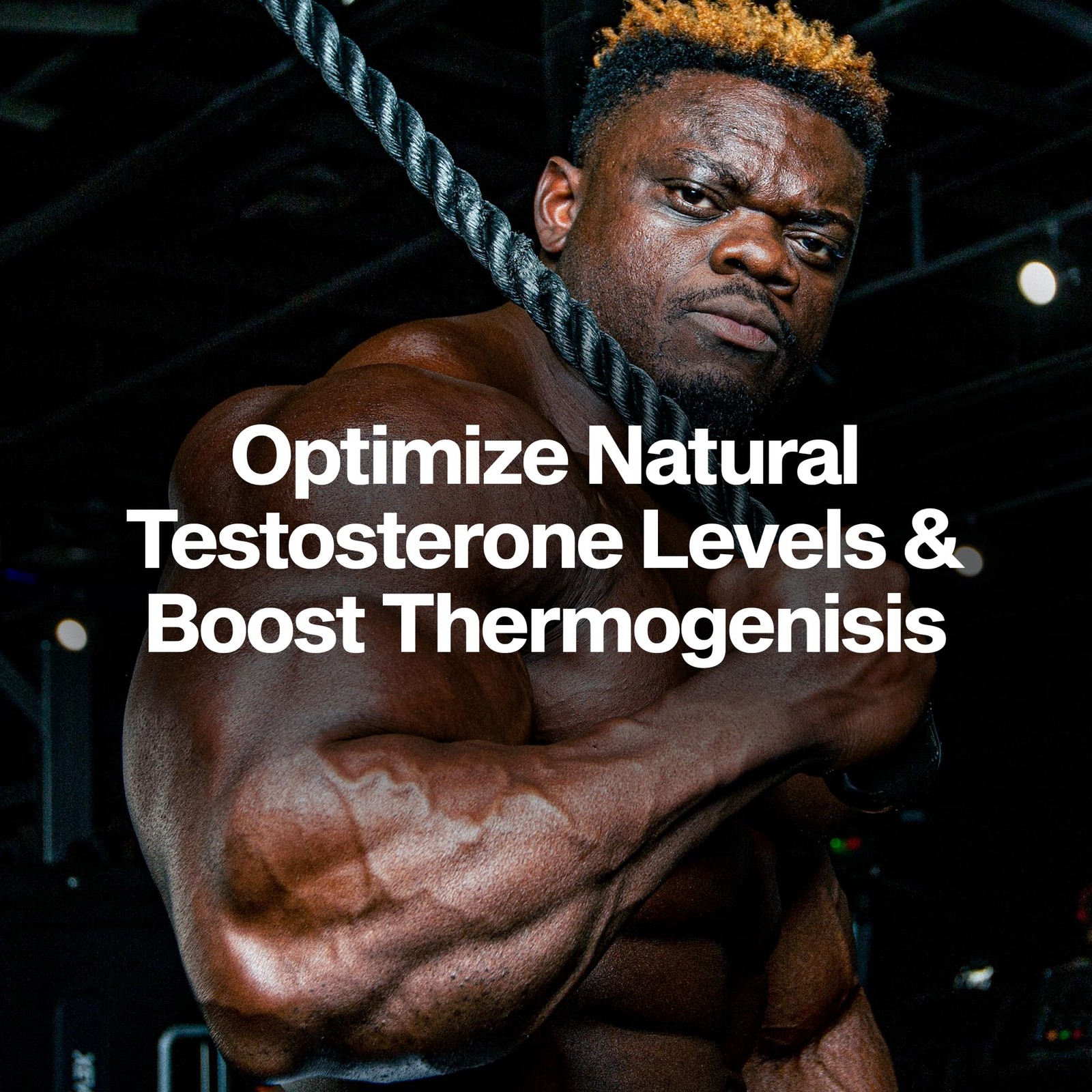 MuscleTech Thermogenic Testosterone Booster 90 Count (Pack of 1), No Color