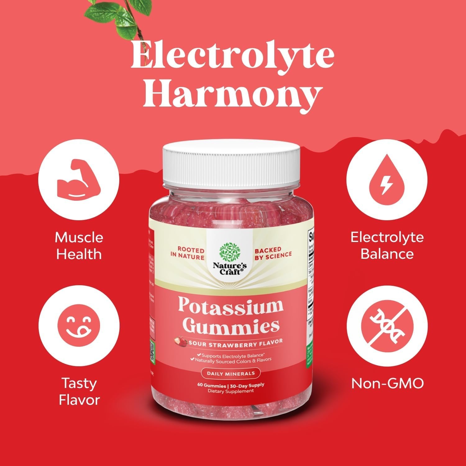 High Potency Potassium Gummies for Adults ~ Powerful Potassium Supplement Gummy