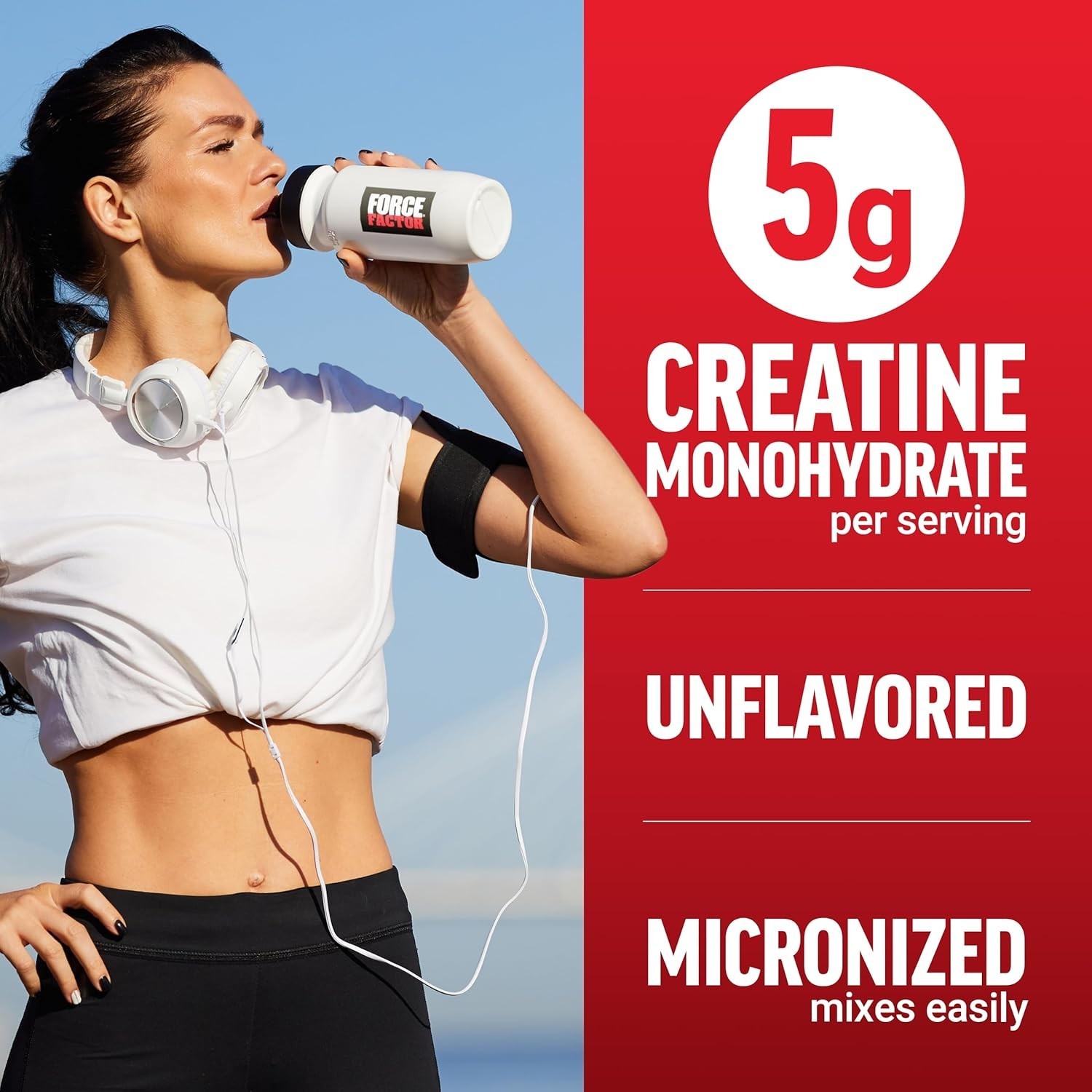 Micronized Creatine Monohydrate 500G – Pure Performance & Cognitive Health