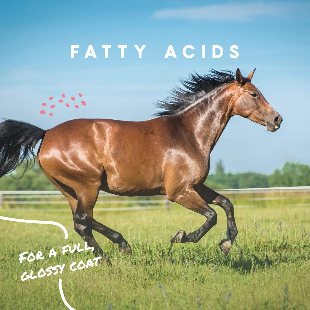 Cool Calories 100 – High-Calorie Dry Fat Supplement for Horses – Supports Health