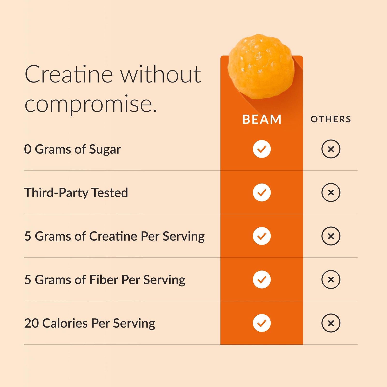 Creatine Gummies – Creatine Monohydrate Gummies with 5g Creatine, Sugar Free,…